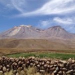 Foto del profilo di Atacama