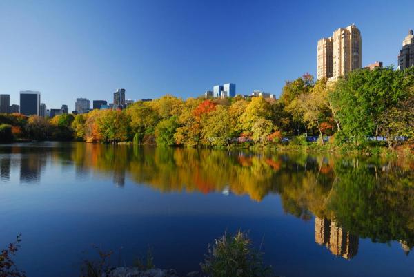 Central park New York