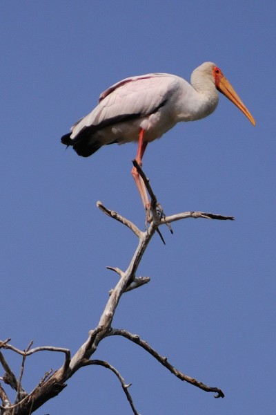 Lake Manyara