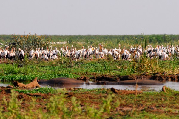 Lake Manyara