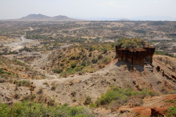 Tanzania - Serengeti