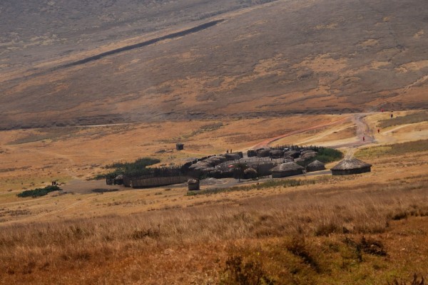 Ngorongoro