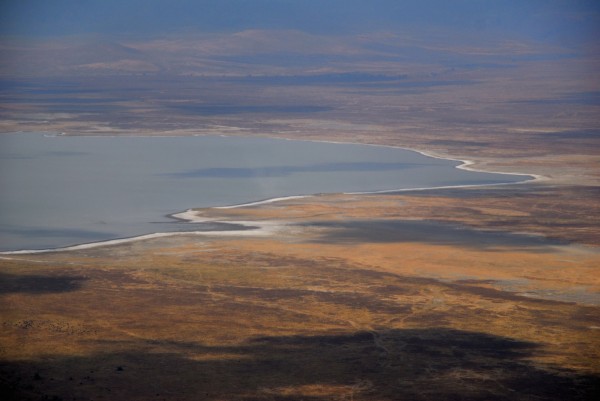 Ngorongoro