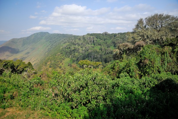 Ngorongoro