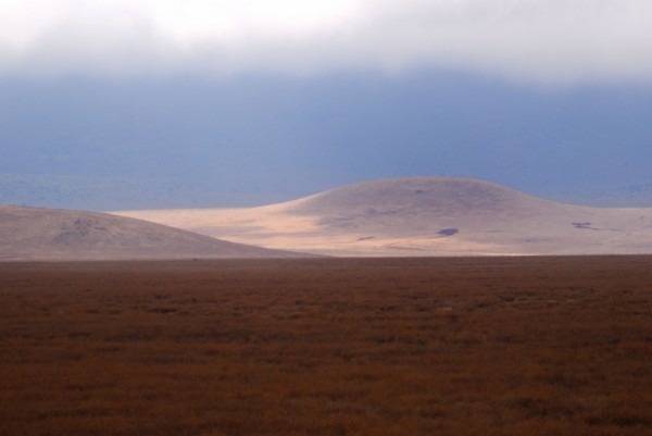 Ngorongoro