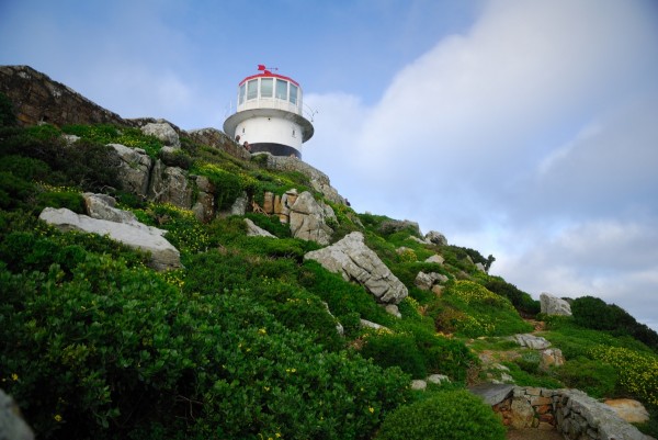 Cape of good hope