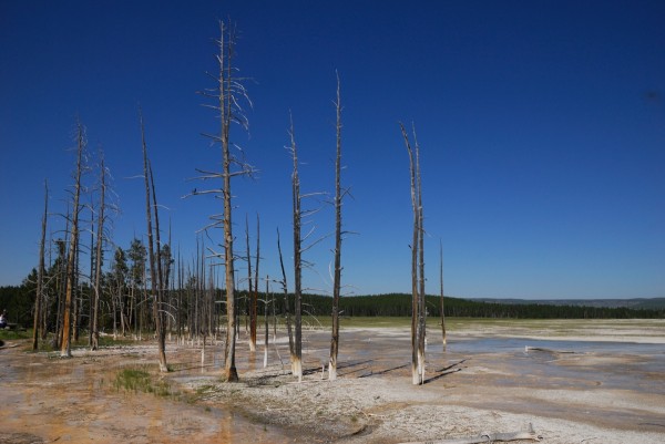 Yellowstone