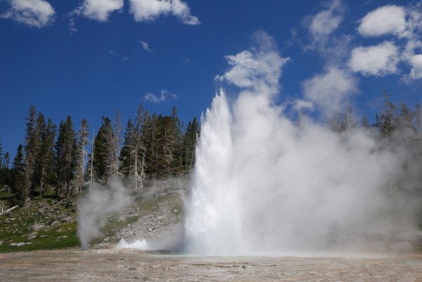 Yellowstone