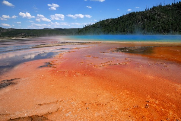 Yellowstone