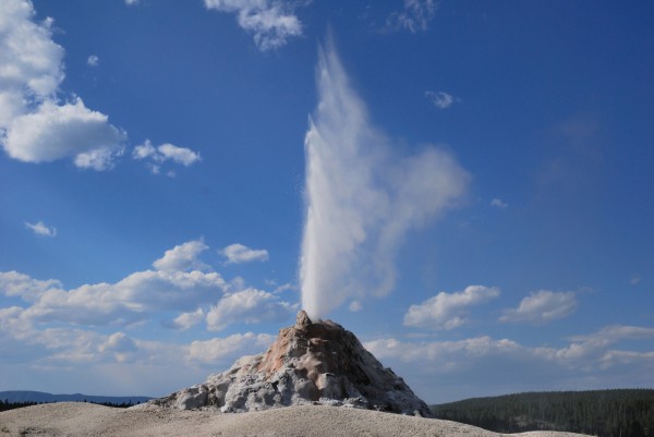 Yellowstone