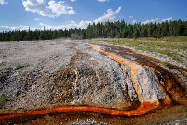 Yellowstone