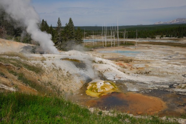 Yellowstone