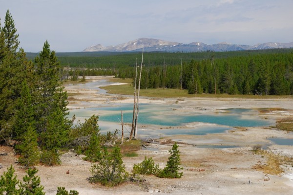 Yellowstone