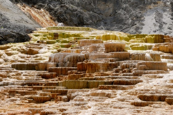 Yellowstone