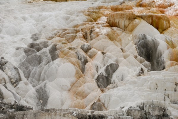 Yellowstone