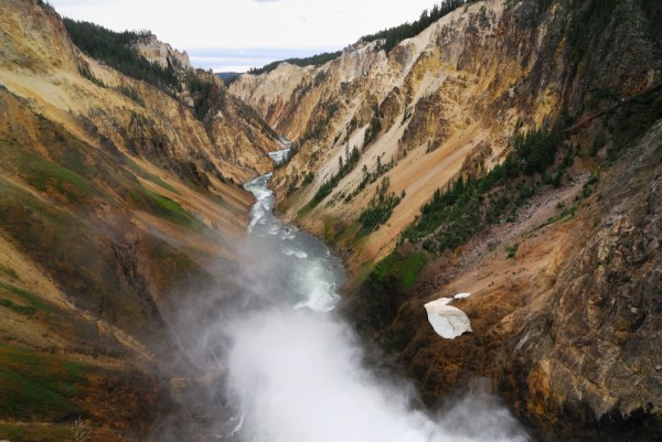 Yellowstone