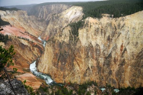 Yellowstone