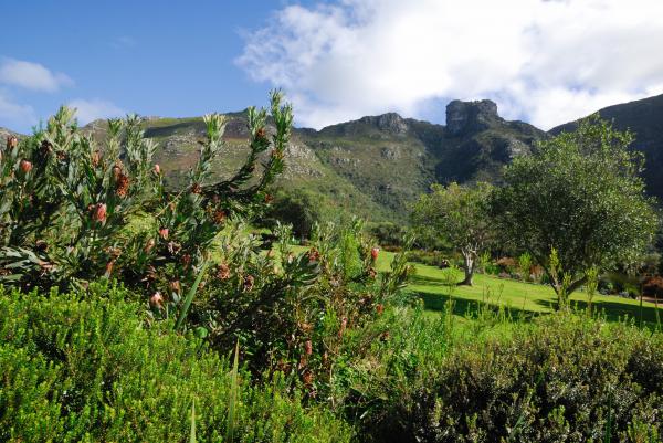 Kirstenbosch Botanic Garden