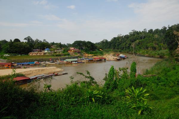 Taman Negara