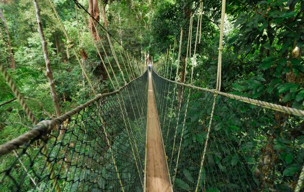 Taman Negara