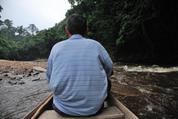 Taman Negara