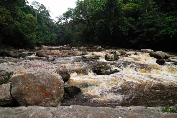 Taman Negara