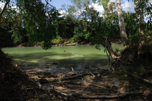 East alligator river