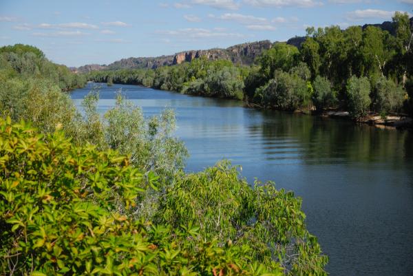 East Alligator River