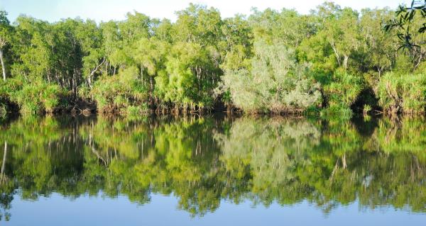 East alligator river