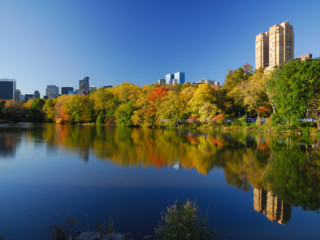 Central park New York