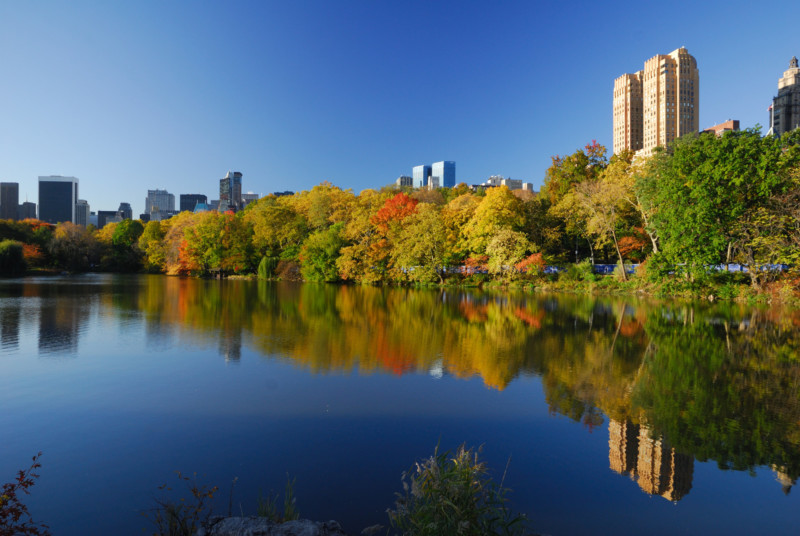 central-park-new-york